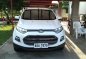 2014 Ford Ecosport for sale in San Nicolas-1