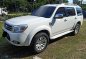 Ford Everest 2013 Automatic Diesel for sale in Pasay-1