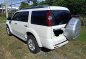 Ford Everest 2013 Automatic Diesel for sale in Pasay-3