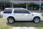 Ford Everest 2013 Automatic Diesel for sale in Pasay-1