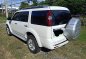 Ford Everest 2013 Automatic Diesel for sale in Pasay-2