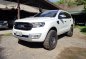 Sell 2nd Hand 2016 Ford Everest Automatic Diesel at 8000 km in Cebu City-0