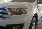 2nd Hand Ford Everest 2016 at 20000 km km for sale in San Pascual-0