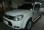 2014 Ford Everest for sale in Taytay-0