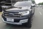 2016 Ford Everest for sale in Quezon City-2