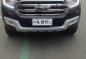 2016 Ford Everest for sale in Quezon City-1