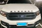 Ford Everest 2016 for sale in Manila-0