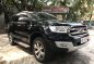 2016 Ford Everest for sale in Valenzuela-2