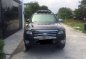 2013 Ford Everest for sale in Guagua-2