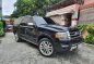 2015 Ford Expedition for sale in Las Piñas-0