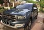 2017 Ford Everest for sale in Manila-0