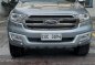 2017 Ford Everest for sale in Quezon City-0