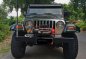 2003 Jeep Wrangler for sale in Cebu City-0