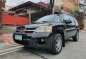 2007 Mitsubishi Endeavor for sale in Quezon City-0