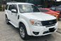 2013 Ford Everest for sale in Pasig -0