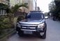 2010 Ford Ranger for sale in Quezon City -1