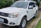 2nd-hand Ford Everest 2013 for sale in Quezon City-0
