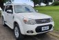 2nd-hand Ford Everest 2013 for sale in Quezon City-9