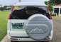 2nd-hand Ford Everest 2013 for sale in Quezon City-5