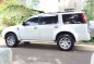 2013 Ford Everest for sale in Quezon City-0