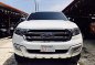 2016 Ford Everest for sale in Mandaue -1