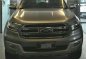 2016 Ford Everest for sale in Las Piñas-2