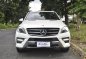 2014 Mercedes-Benz ML-Class for sale in Quezon City-0