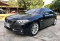 2015 Bmw 520D for sale in Manila-0