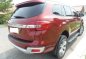 2017 Ford Everest for sale in Quezon City -2