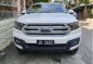 Ford Everest 2016 for sale in Taytay-0