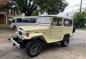 Sell 1977 Toyota Land Cruiser in Quezon City-0