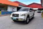 Ford Everest 2008 for sale in Lemery-0