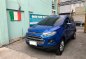 Sell Blue 2014 Ford Ecosport in San Antonio-0