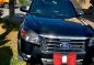 Sell Black 2010 Ford Everest in Lipa-1