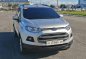 Sell Silver 2017 Ford Ecosport SUV / MPV in Biñan-4
