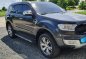 Grey Ford Everest for sale in Manila-0