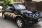 Sell Black Ford Everest in Muntinlupa-2