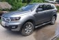 Silver Ford Everest for sale in Digos-2