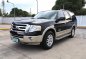 Sell Black 2008 Ford Expedition in Silang-0