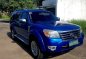 Blue Ford Everest for sale in Bacolor-0