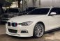White Bmw 335I for sale in Paranaque City-1