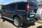 Grey Ford Everest for sale in Biñan-0