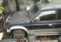 Sell Blue Mitsubishi Pajero Wagon (Estate) in Mandaluyong-2