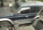 Sell Blue Mitsubishi Pajero Wagon (Estate) in Mandaluyong-3