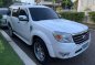 White Ford Everest for sale in Manila-5