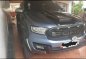 Grey Ford Everest for sale in Naga-0