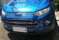 Sell Blue 2016 Ford Ecosport in Santa Rosa-9