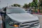 Silver Ford Everest 2018 for sale in Pasig-1