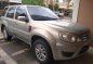 Pearl White Ford Escape for sale in Manila-8