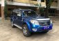 Sell Blue 2010 Ford Everest in Davao-2